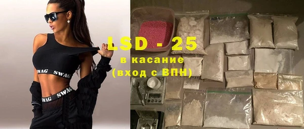 ПСИЛОЦИБИНОВЫЕ ГРИБЫ Вязники