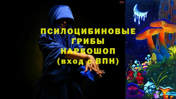мдпв Краснослободск
