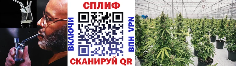 Бошки Шишки индика  где купить наркоту  ссылка на мегу   Западная Двина 